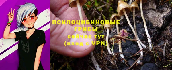 mix Алексеевка
