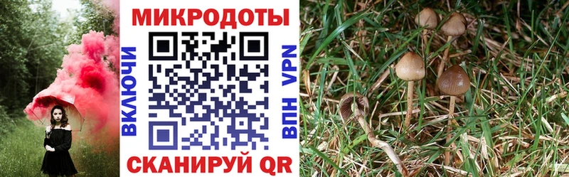 Галлюциногенные грибы мухоморы наркота Уфа